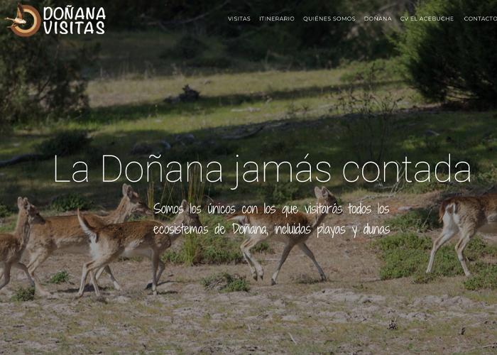 Doñana Visitas